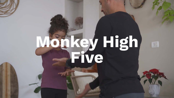 Monkey High Five